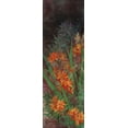thumbnail image 2 of Bo, Li 9x18 Black Ornate Wood Framed with Double Matting Museum Art Print Titled - Wild Lily Garden I, 2 of 4