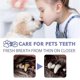 thumbnail image 3 of Teeth Cleaning Spray For Dogs & Cats, Eliminate Bad Breath, Targets Tartar & Plaque, Without Brushing, 3 of 3