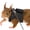 Black, variant on Small Pet Harness, Small Animal Leash Set, Squirrel Walking Harness, Adjustable Chest Strap, 1.65m Rope, Polyester, 3 Sizes S M L, Brown, Black, Orange, Blue, Green, Gray