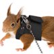 thumbnail image 1 of Arnés de pecho y correa para mascotas pequeñas con 3 tallas para ardillas, ardillas listadas, trepadores pequeños, poliéster ajustable, correa de 1.65 m, ligero, múltiples colores, 1 of 9