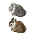 thumbnail image 1 of 2 realistas de peluche y para decoración de patio y jardín., 1 of 9