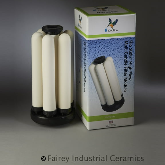 Doulton W938100 Rio 2000 High Flow Multi-Candle Whole House Filter Module