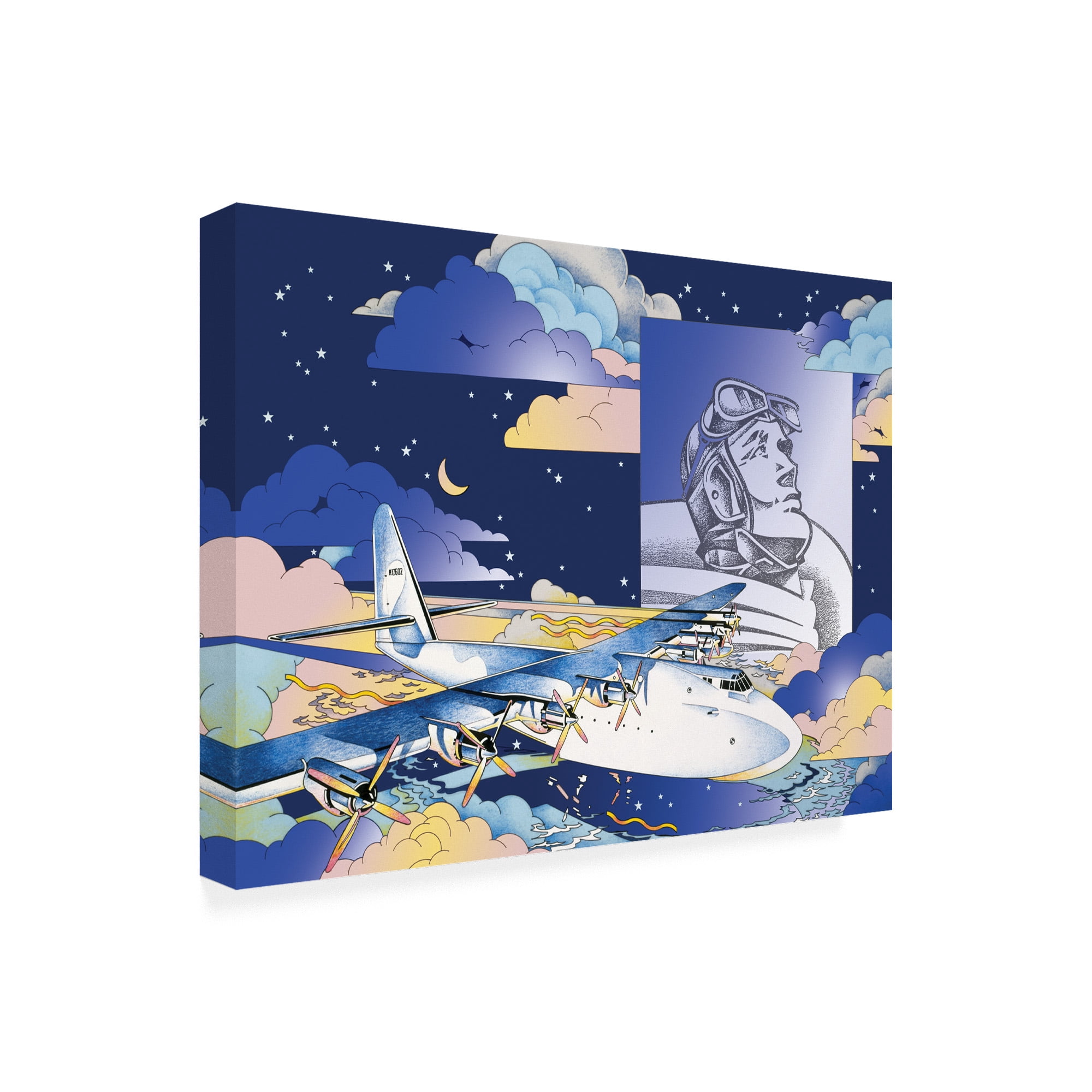 Trademark Fine Art 'Spruce Goose' Canvas Art by David Chestnutt