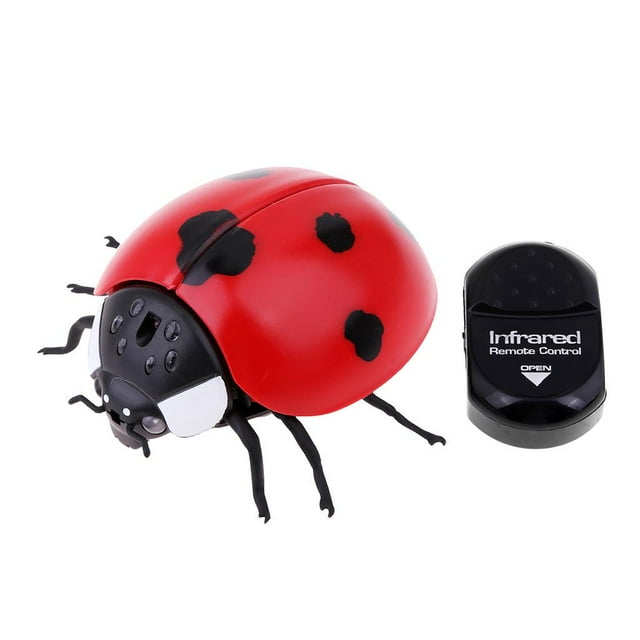 MagiDeal Enfants Capteur Infrarouge Télécommande Animal Coccinelle Modèle Jouet