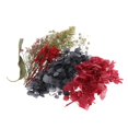 thumbnail image 4 of Flores secas das reales hojas multicolor de teléfono de jabón sol Zulema  flores de hojas secas naturales, 4 of 7