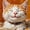 Smiling Cat, variant on Smiling Orange Tabby Cat Framed Wall Art, Solid Wood Frame Cozy Warm Oil Painting Print, Cute Cat Wall Decor for Bedroom Bathroom, 12x16in