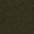 thumbnail image 1 of Tissu en Chlorure de Polyvinyle 102 100 pour Cent, Cactus, 1 of 1