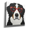 thumbnail image 2 of Epic Graffiti 'Bernese Mountain Dog Wearing Hipster Glasses' by Furbaby Affiliates, Canvas Wall Art, 12"x12", 2 of 8