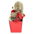 thumbnail image 3 of Way to Celebrate Plush Pal in Gift Box – Teddy Bear, 3 of 4