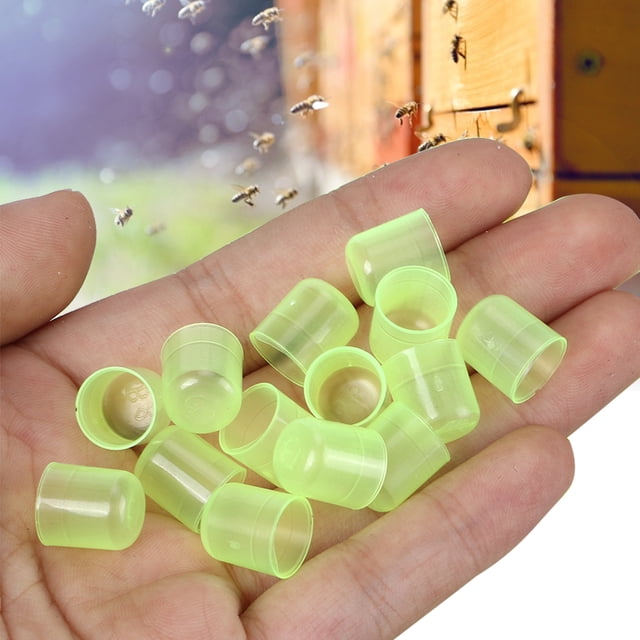 Suministros de apicultura, 1000 piezas de copas para celdas reales Copas para celdas reales de apicultura Copas para celdas reales Tecnología de vanguardia