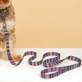 thumbnail image 2 of Pompous Orange Pet Collar Traction Rope, 1.5cm × 120cm Pet Traction Rope With Handle, 2 of 5