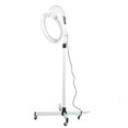 thumbnail image 1 of Sèche-cheveux, Chauffage Rotatif Multi-Direction Durable, pour Salon de Coiffure Boutique Styliste Professionnel EU Plug, 1 of 8