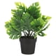thumbnail image 1 of GOOHOCHY Mini maceta de bonsái de monstera simulada. Decoración de monstera en maceta. Mini planta de monstera. Decoración de bonsái., 1 of 8