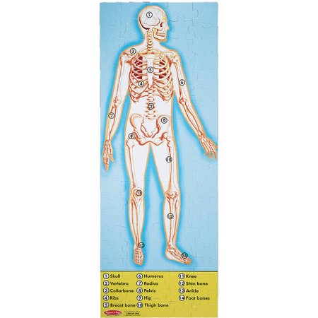 Melissa & Doug Human Anatomy Floor Puzzle (Easy-Clean Surface, Promotes Hand-Eye Coordination, 100 Pieces, 48” L x 18”