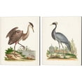 thumbnail image 1 of Great Art Now Antique Heron & Cranes by George Edwards 2 Piece Canvas Art Set Each 12W x 15H, 1 of 3