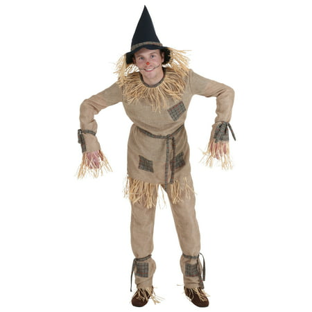 Plus Size Silly Scarecrow Costume