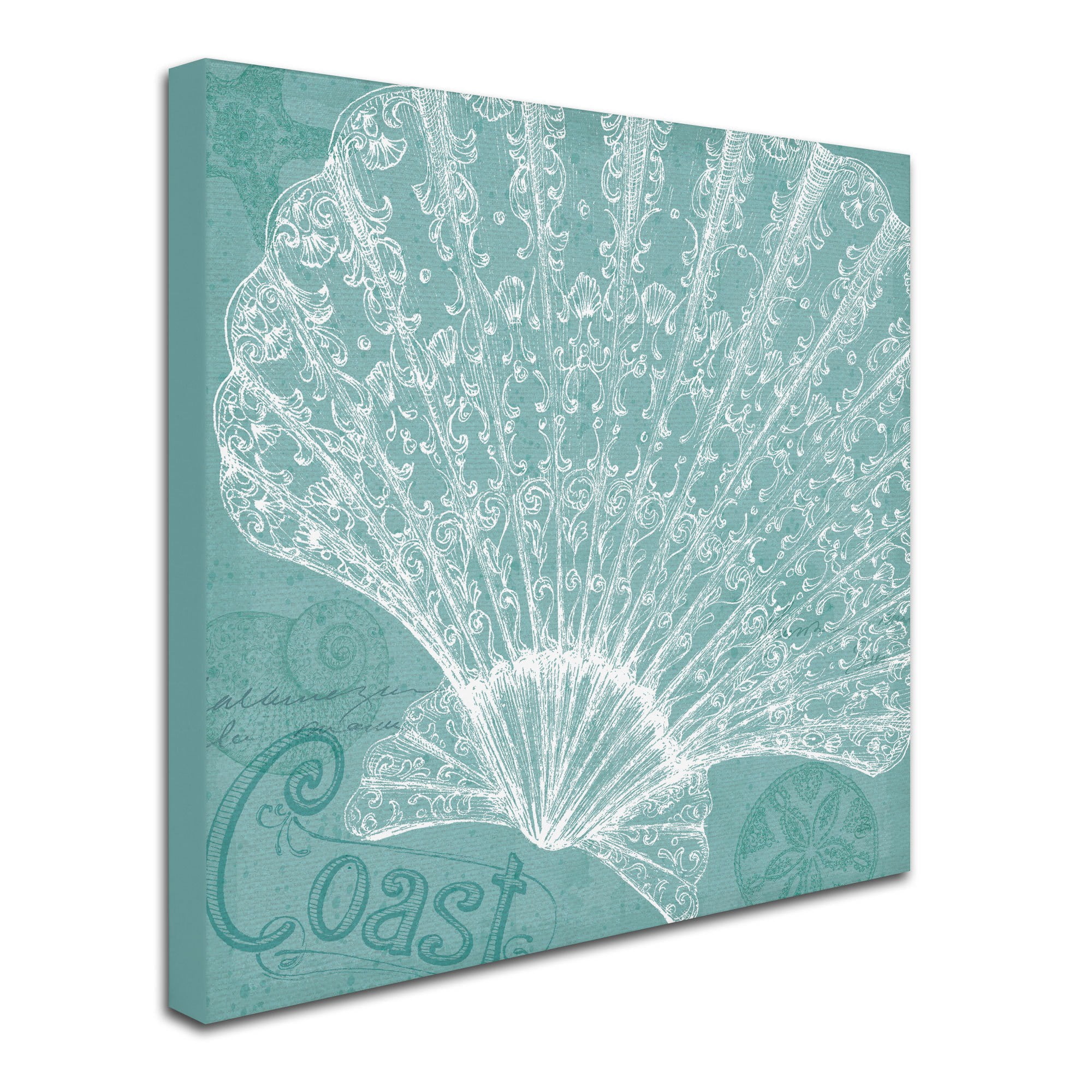 Trademark Fine Art "Aqua Treasure III" Canvas Art by Daphne Brissonnet