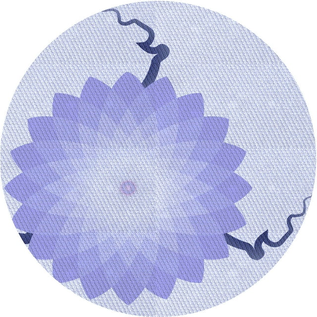 Ahgly Company Tapis Rond Lavable en Machine Intérieur Transitionnel Bleu Céleste, 4 Pieds Rond