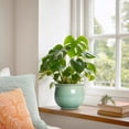 thumbnail image 3 of Ordivic 6 inch Speckled Green Ceramic Self Watering Planter,Round African Violet Pot for Succulent,Herbs,Boho Shelf,Windowsill,Indoor Home Decor, 3 of 7