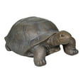 thumbnail image 5 of Walking Turtle Statue,  29.5" L Tortoise Concrete Garden Statue for Indoor or Outdoor Décor, 5 of 9