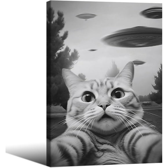 Myhong.1 UFO FPosterny Trippy Wall Art Victorian Posterique Poster Landscape Oil Painting Canvas Prints for Living Room Bedroom Wall Decor Poster 20*28inch