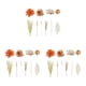 thumbnail image 3 of Bearachild Decoraciones delicadas para pasteles - Exquisitas decoraciones bohemias llamativas Topper Vintage Boho Cake Topper Set 11 Type1 NO1, 3 of 6