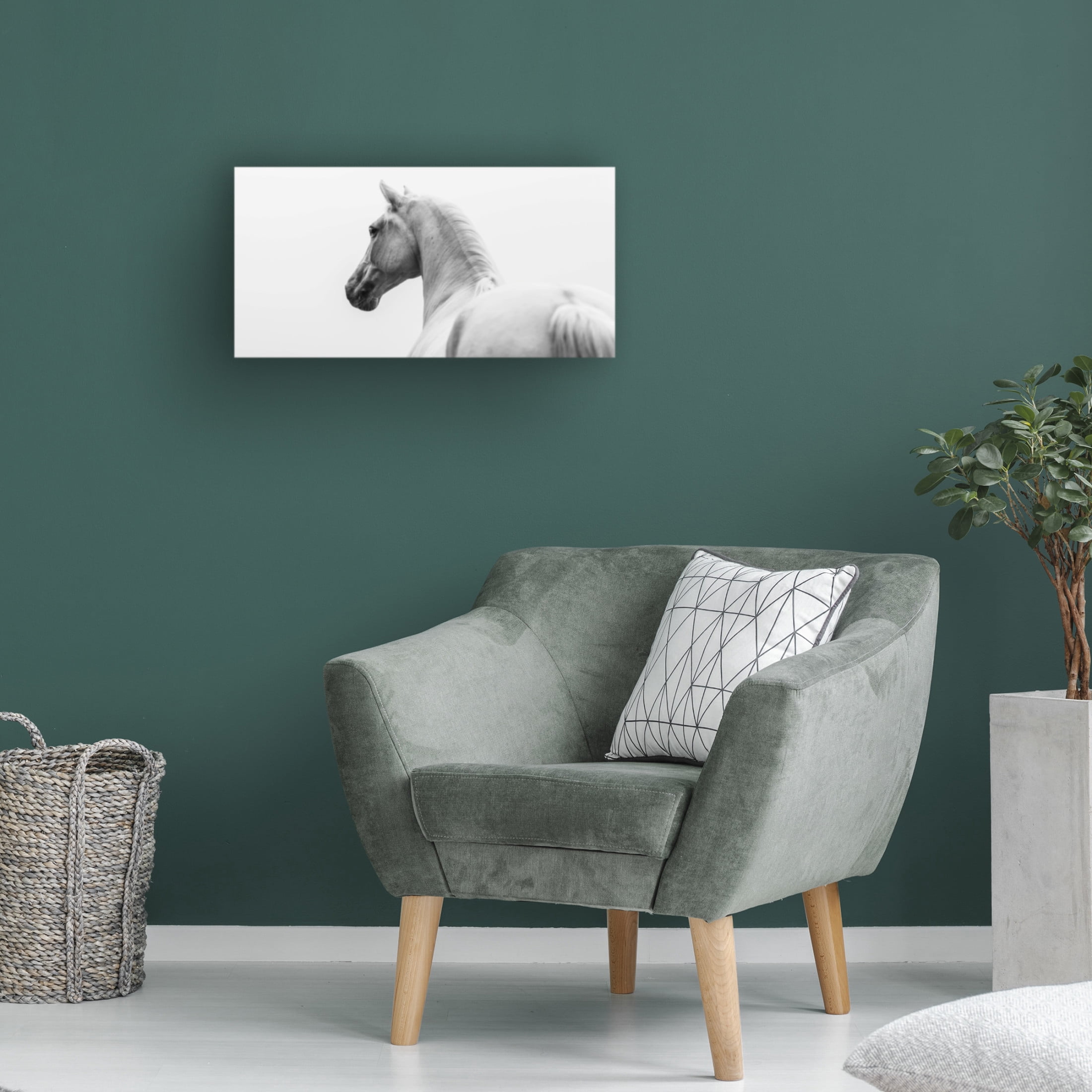 Trademark Fine Art Cembrzynski Ignacy a short story about a shorn horse Canvas Wall Art