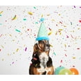 thumbnail image 4 of BARK Stuffed Plush Tug Dog Toy - The Party Farter, 4 of 7