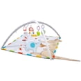 thumbnail image 1 of Gimnasio Para Bebé Aeiou 63603 Koning Kids 2 En 1 Kangaroo, 1 of 5