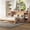 Gold + MDF + Pine + Plywood + Queen, variant on ChenyueFurn Queen Murphy Bed with Storage Drawers & Shelves, Space-Saving Design,Gold