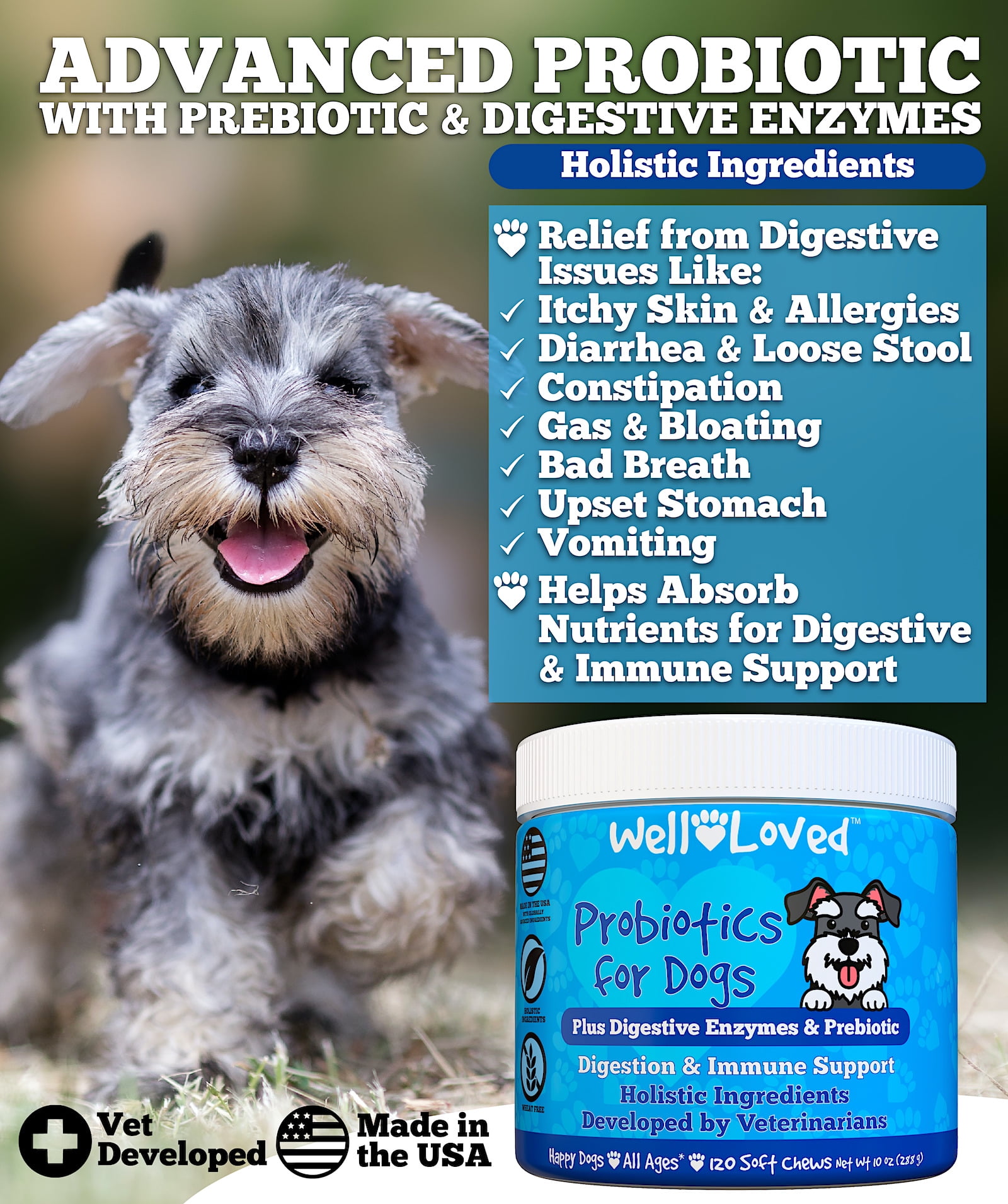 Well Loved Probiotics for Dogs Digestive Health Soft Chews, Chicken Flavor, 120 Count