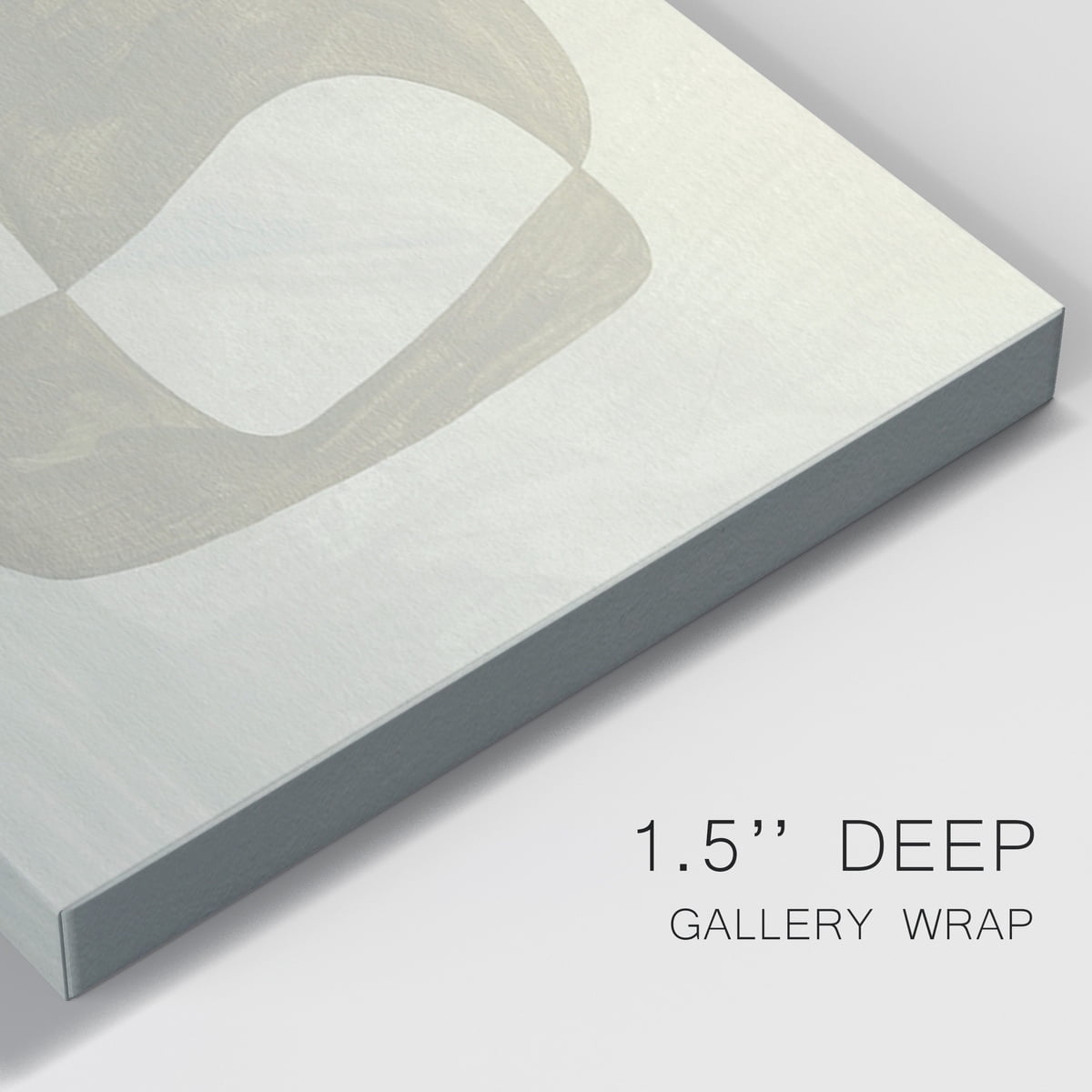 Soft Shape II Premium Gallery Wrapped Canvas - Ready to Hang - 40 x 60 Each