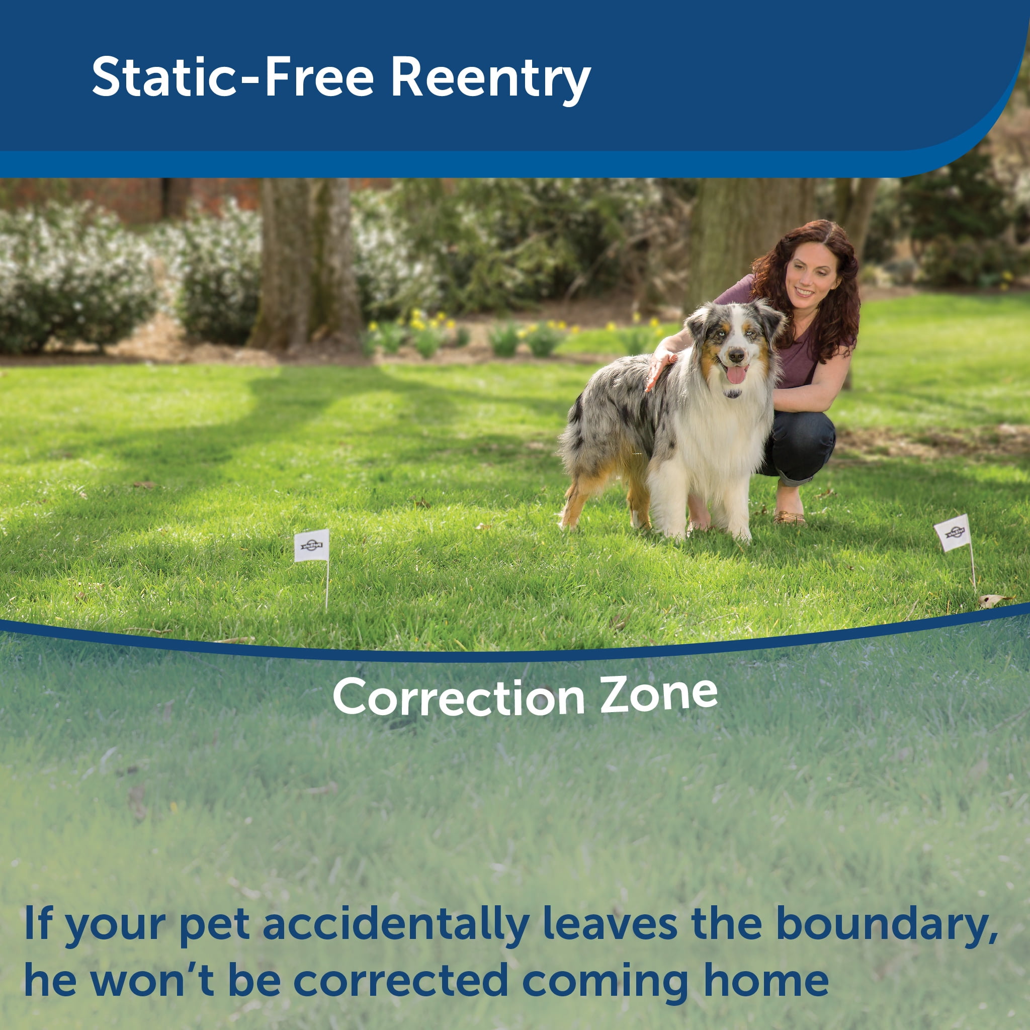 above ground wireless dog fence