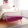thumbnail image 2 of TOV Furniture Ziva Banc de Rangement en Velours Transitionnel 16.5"H en Prune Violette, 2 of 6