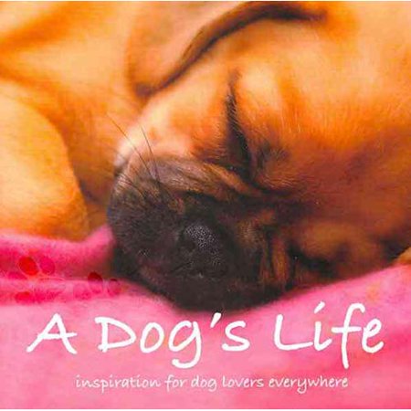 A Dogs Life: Inspiration for Dog Lovers Everywhere