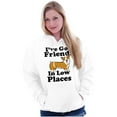 thumbnail image 4 of Ive Got Friends Low Places Cute Corgi Unisex Plus Fleece Graphic Hoodie Brisco Brands 4X, 4 of 5