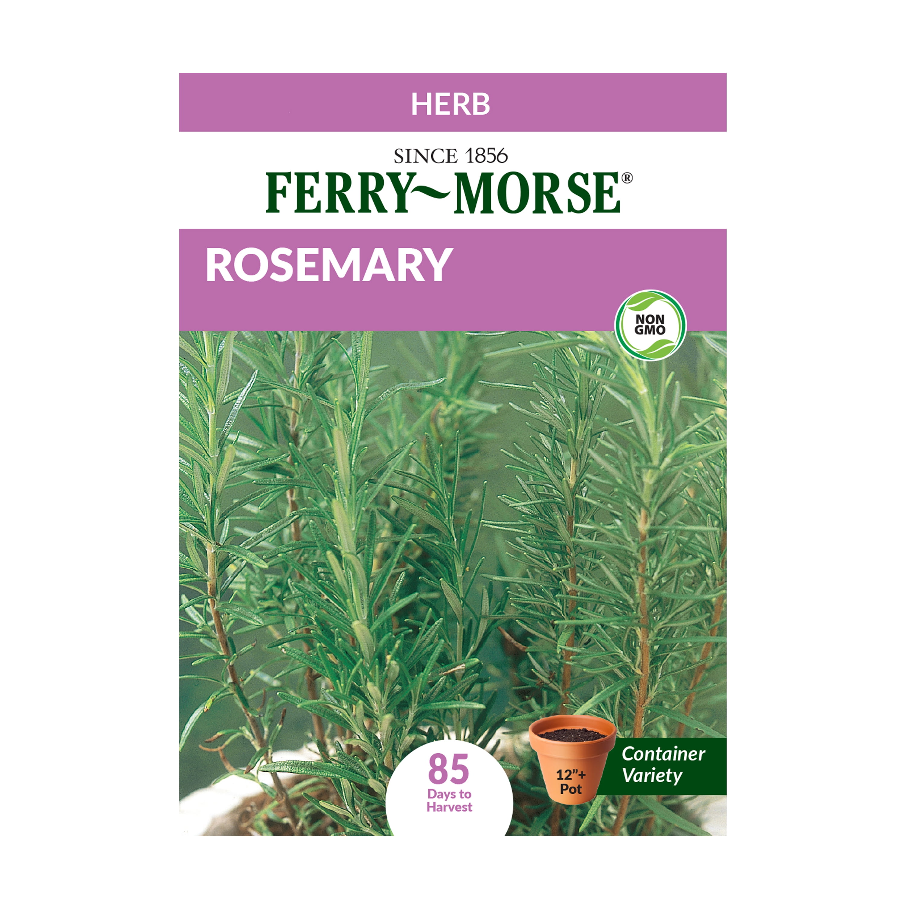 Ferry-Morse 13.5MG Rosemary Herb Plant Seeds (1 Pack)- Seed Gardening, Full Sunlight