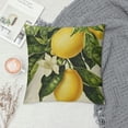 thumbnail image 2 of Qinduosi Lemon Summer Fruit Outdoor Style Pillow Cover Home Decorative Throw Pillow Case Square Cushion Covers (Summer Lemon) White, 2 of 5
