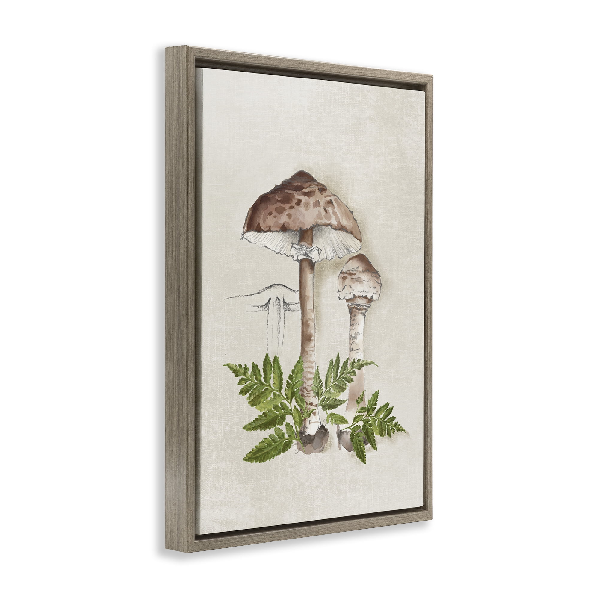 Stupell Industries Mushroom & Ferns Sketch Plants & Flowers Painting Brown Floater Framed Canvas Art Print Wall Art, 17 x 25
