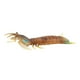 thumbnail image 5 of Modelo de animal marino realista CUTICAT Figuras Marinas 25g, 5 of 8