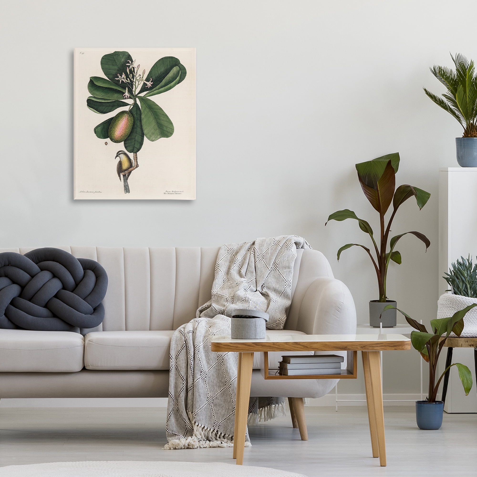 Stupell Industries Catesby Flora & Fauna Canvas Wall Art, design by Print Collection
