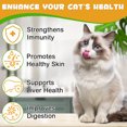 thumbnail image 4 of Oimmal Allergy Immune Drops for Cats - Anti Itch & Hot Spots - Relief Cats Seasonal Allergy with Elderberry + Vitamin C Support Liver & Digestion Health - 4 Fl oz, 4 of 10