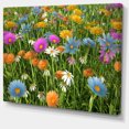 thumbnail image 2 of Fleurs de Différentes Couleurs sur le Champ - Impression sur Toile Florale, 2 of 4