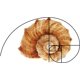 thumbnail image 5 of Visor de proporción áurea (3 piezas) con 3 estilos de herramienta de composición fotográfica. Visor Fibonacci. Visor para fotógrafos. Herramienta de composición según la regla de los tercios., 5 of 7