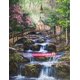 thumbnail image 3 of Rompecabezas Springbok Peaceful Prayer, 500 piezas, para adultos, 3 of 7