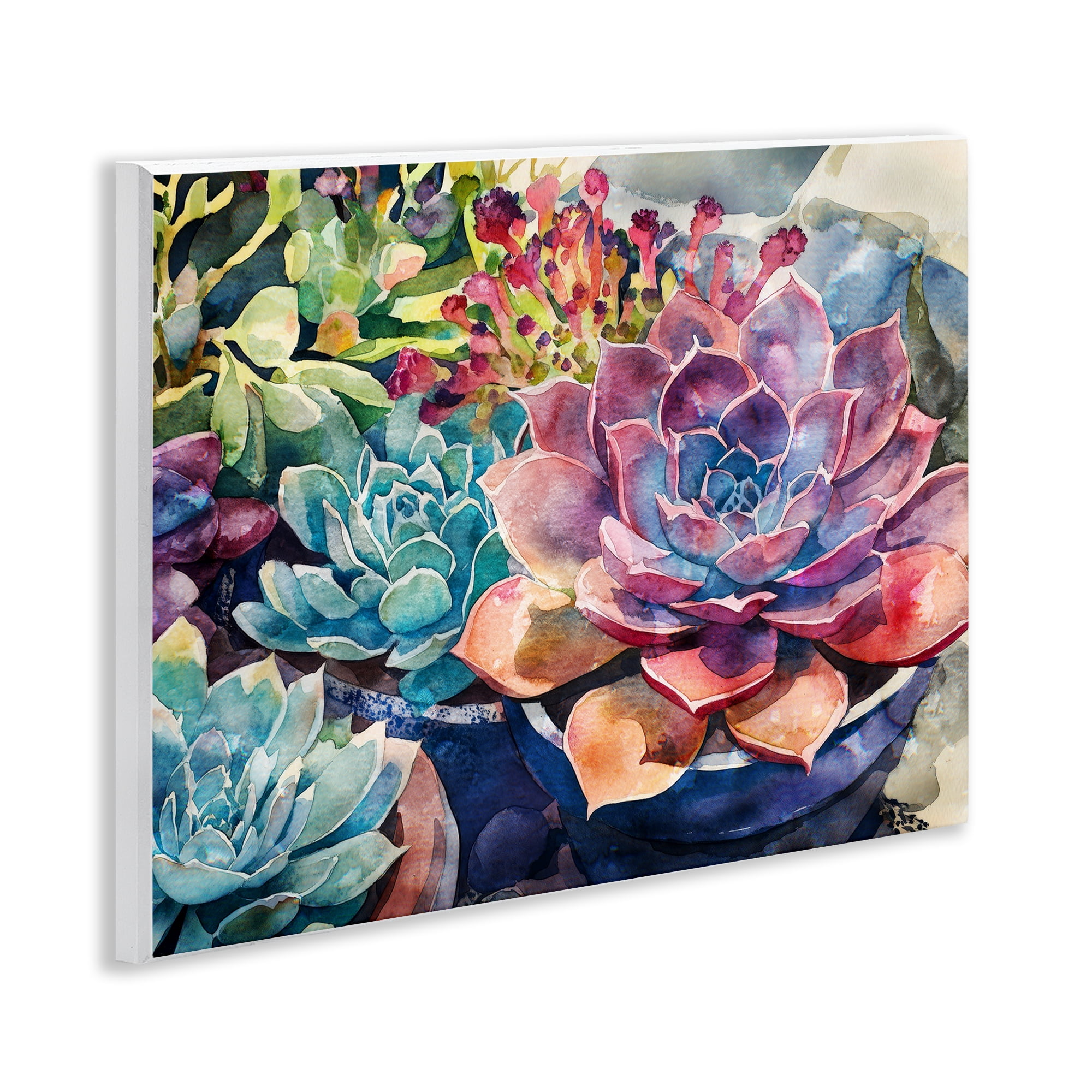 Stupell Industries Sun Kissed Succulents Wall Plaque Art, design by Svetlana Aleynikova