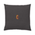 thumbnail image 2 of Ahgly Company Color Focus Black Indoor Throw Pillow, 18 inch by 18 inch, 2 of 6