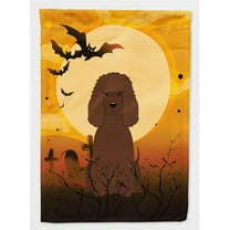 Caroline's Treasures BB4329CHF Halloween Irish Water Spaniel Flag Canvas House Size , Large, multicolor