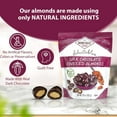 thumbnail image 3 of Hayden Valley Foods Dark Chocolate Covered Almonds - 20 Ounce Resealable Bag, 3 of 3