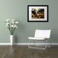 thumbnail image 2 of Trademark Fine Art "Autumn Forest" Canvas Art by Philippe Hugonnard, White Matte, Black Frame, 2 of 3